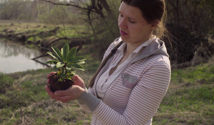 Similar image 21127348