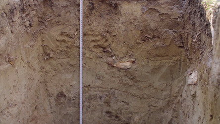 Similar image 21127349