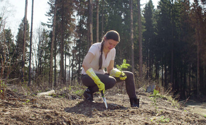 Similar image 21127351