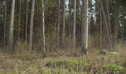 Similar image 21127352