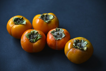 Similar image 21127773