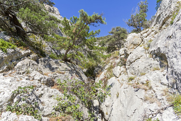 Similar image 21127637