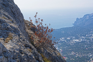 Similar image 21127642