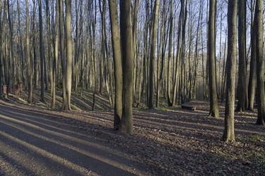 Similar image 21127354