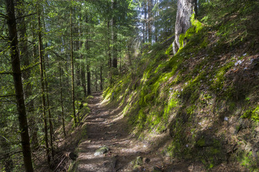 Similar image 21127257