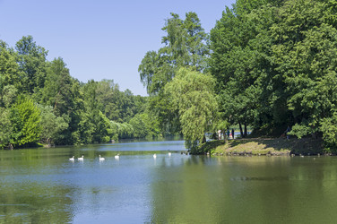 Similar image 21127259