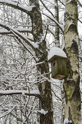 Similar image 21127265