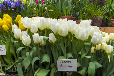 Similar image 21127267