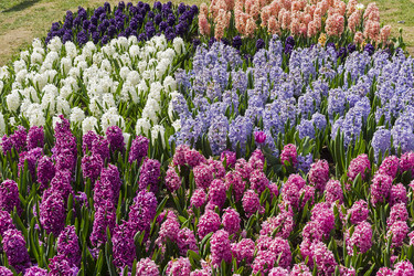 Similar image 21127270