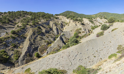 Similar image 21127275