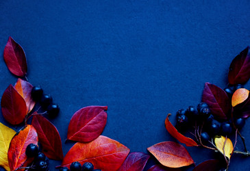 Similar image 21128763