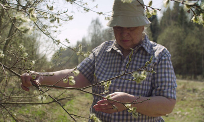 Similar image 21129226