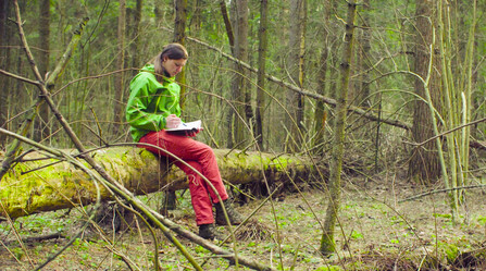 Similar image 21129761