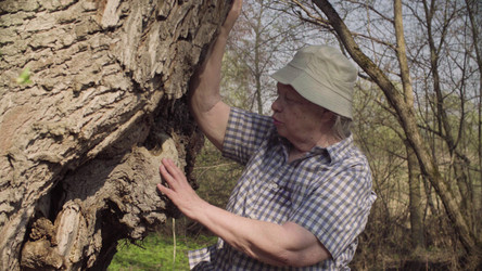 Similar image 21129763