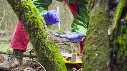 Similar image 21129764