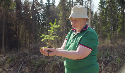 Similar image 21129775