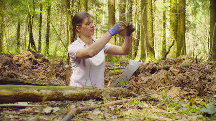 Similar image 21129785