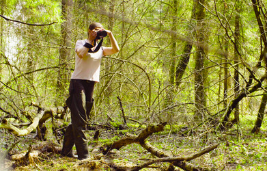 Similar image 21129791