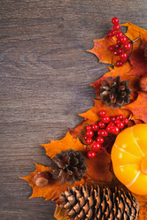 Similar image 21127833