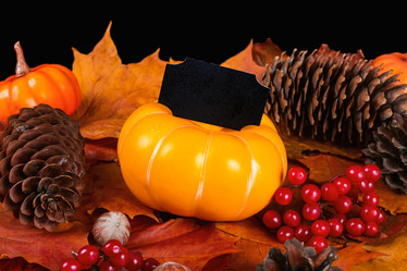 Similar image 21127835