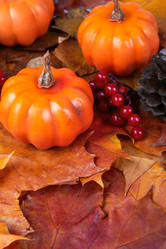 Similar image 21127838