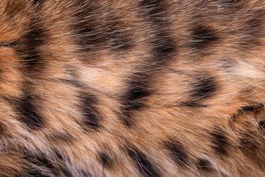 Similar image 21127841