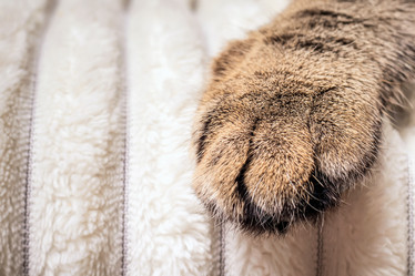 Similar image 21127844