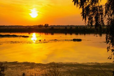 Similar image 21127877