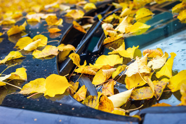 Similar image 21127878