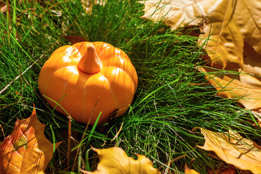 Similar image 21127880