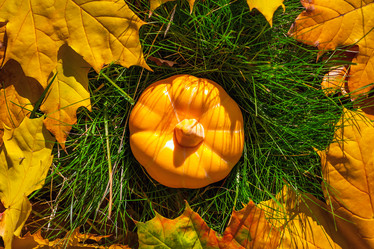 Similar image 21127881