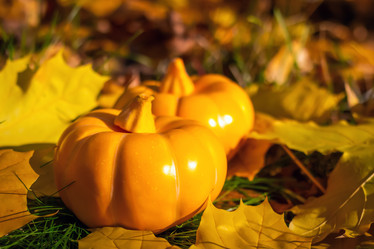 Similar image 21127883