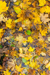 Similar image 21127884