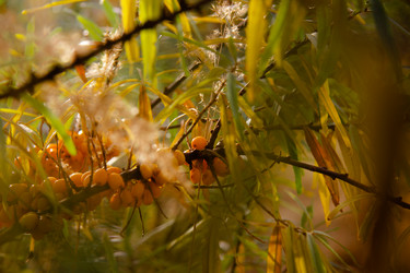 Similar image 21127783