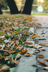 Similar image 21127784