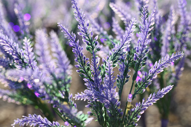 Similar image 21128301