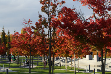 Similar image 21128709