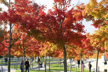 Similar image 21128710