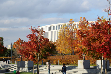 Similar image 21128711