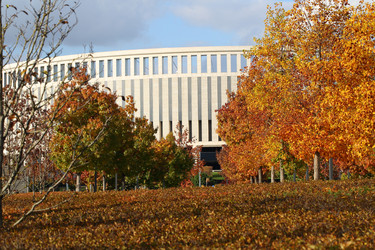 Similar image 21128305