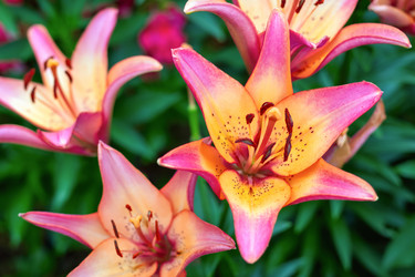 Similar image 21128343