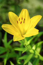 Similar image 21128344