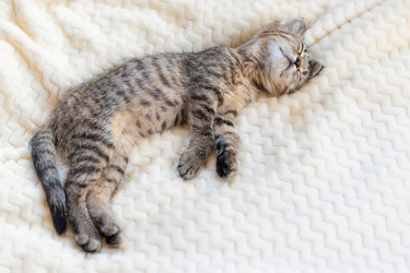 Similar image 21128345