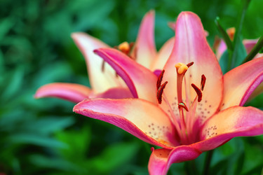 Similar image 21128347