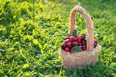 Similar image 21128351