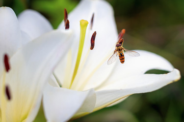 Similar image 21128353