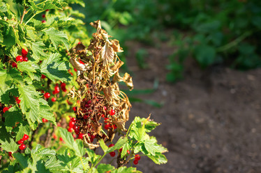 Similar image 21128354