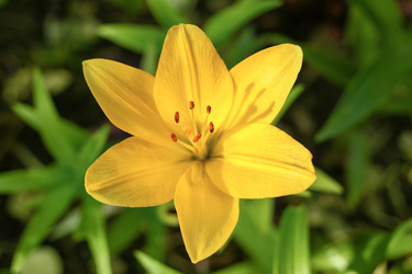 Similar image 21128355