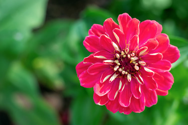 Similar image 21128357