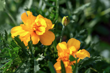 Similar image 21128359